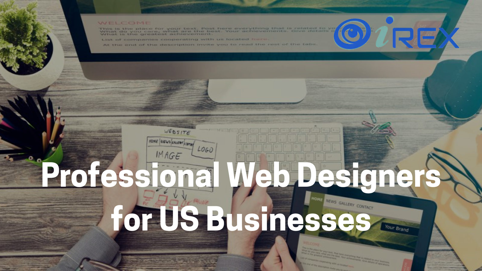 Professional Web Designers for US Businesses