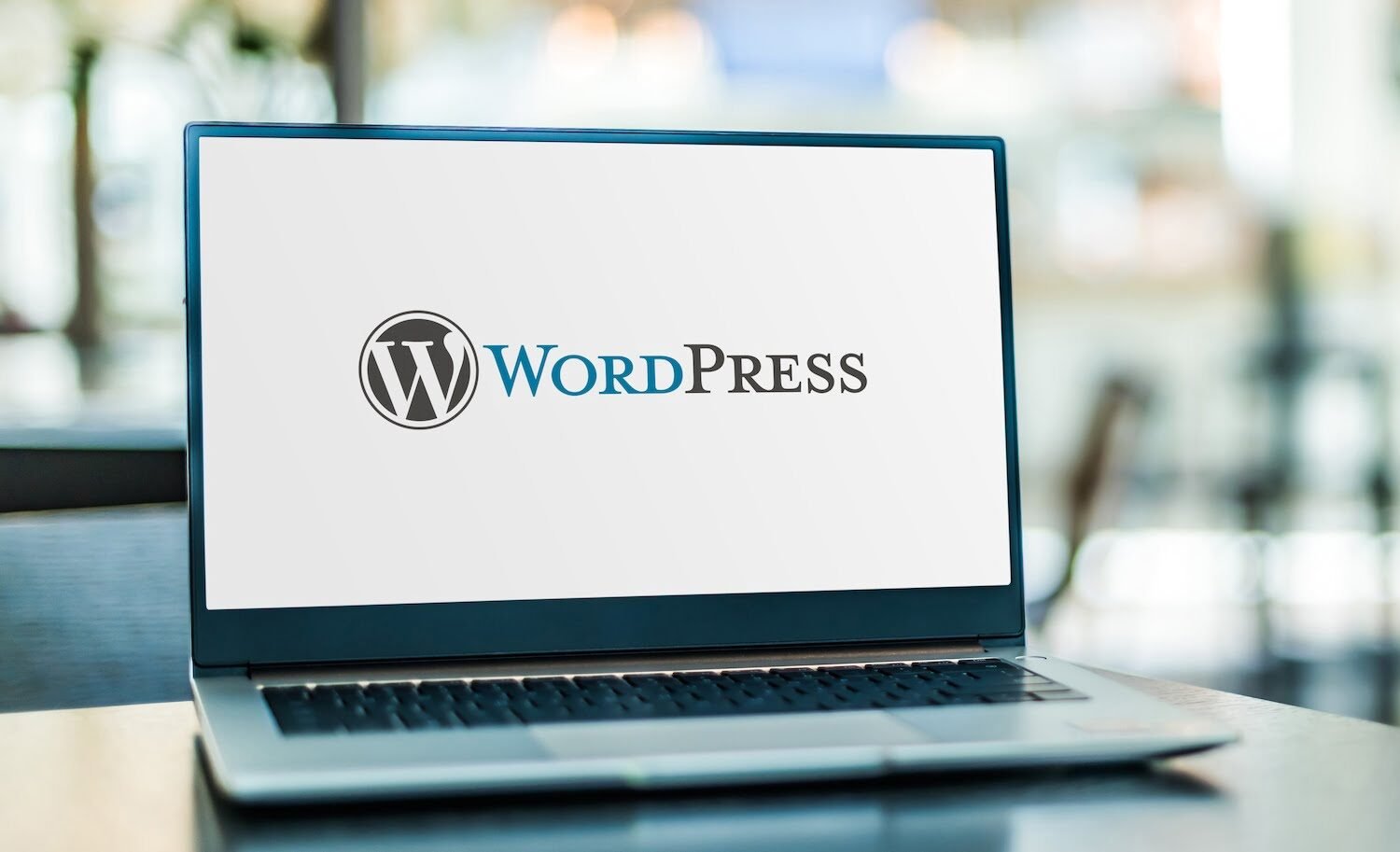 WordPress Web Designer